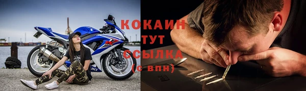 СК Алзамай