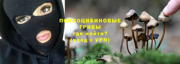 СК Алзамай