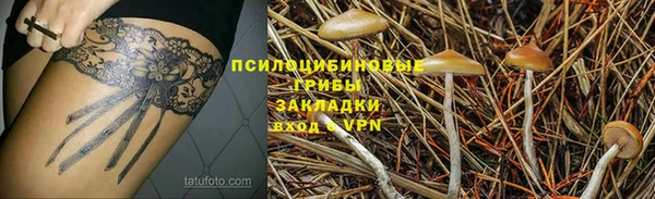 a pvp Алексин