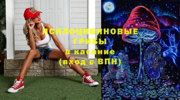 СК Алзамай