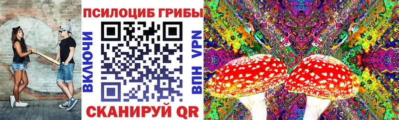 Галлюциногенные грибы GOLDEN TEACHER  Новозыбков 