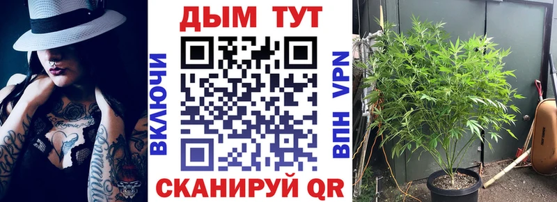 купить наркотики сайты Новозыбков Конопля SATIVA & INDICA