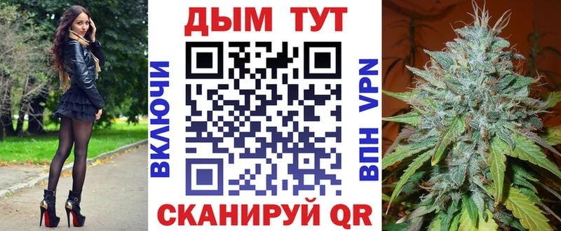 Конопля планчик Новозыбков